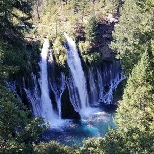 Meet your Posher, Silvia